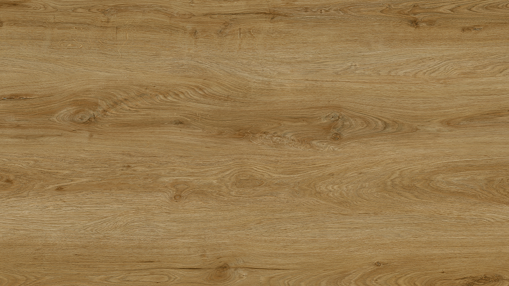 Fagus plank