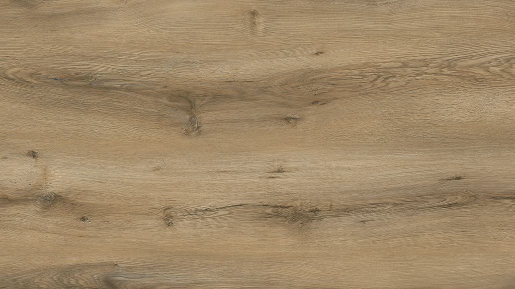 Perfecta EIR — plank