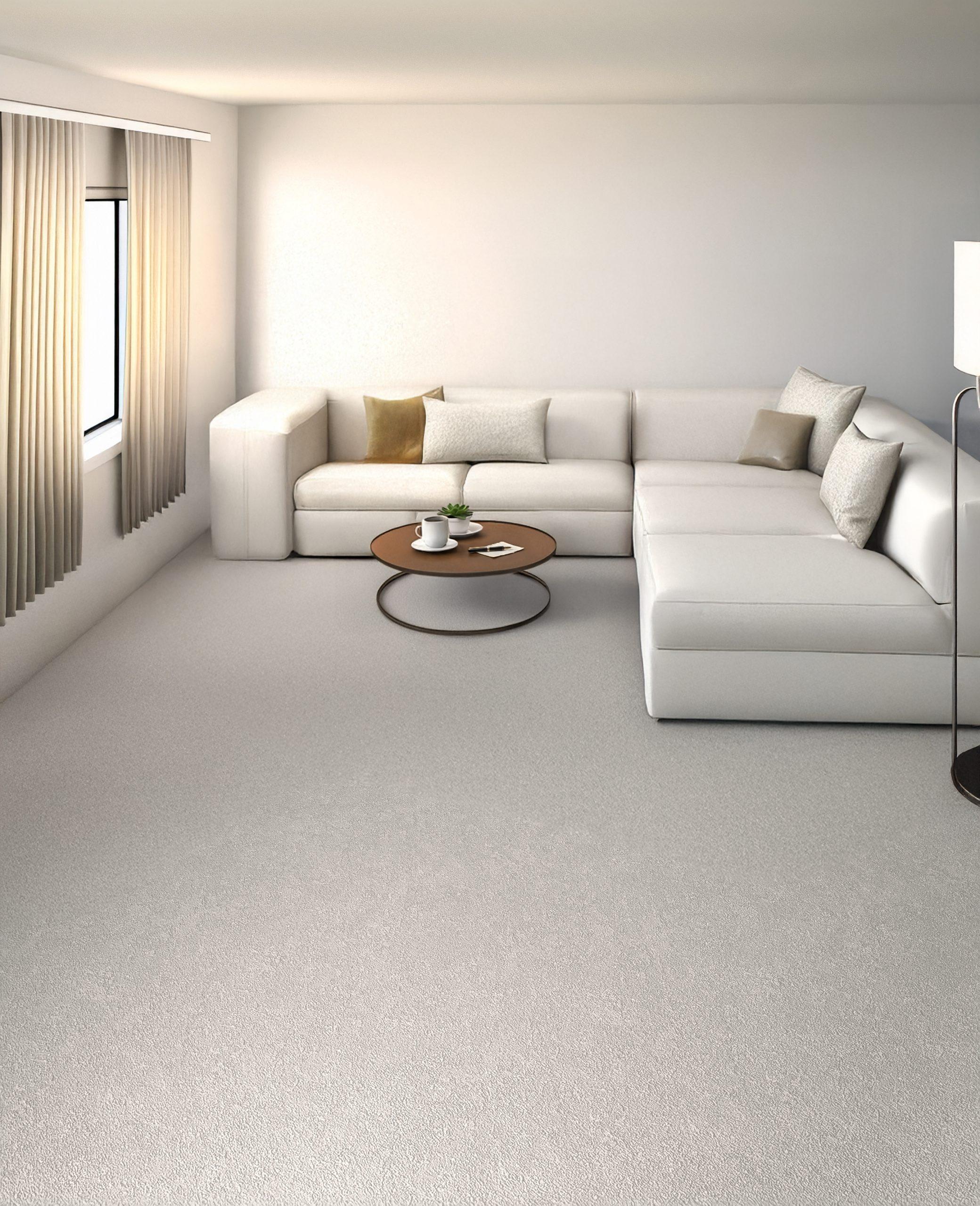 Bieri interior render