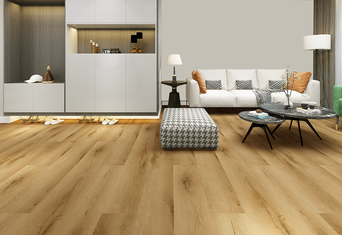 Solano interior render