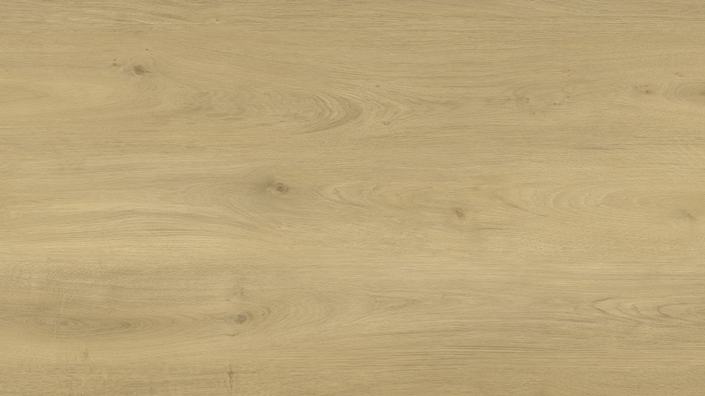 Salis plank